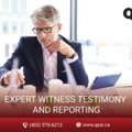 Testimony Of Expert Witness Alberta For Legal Cases And Court Proceedings