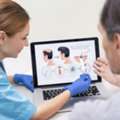 SEO Strategies For Plastic Surgery Practices