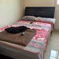 SAR 1100,  Bedroom Set Single Bed