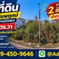 THB 2508000,  6 BR,  125 Sq. Feet,  ขายต่ำกว่าราคาประเมิน ที่ดินปลูก