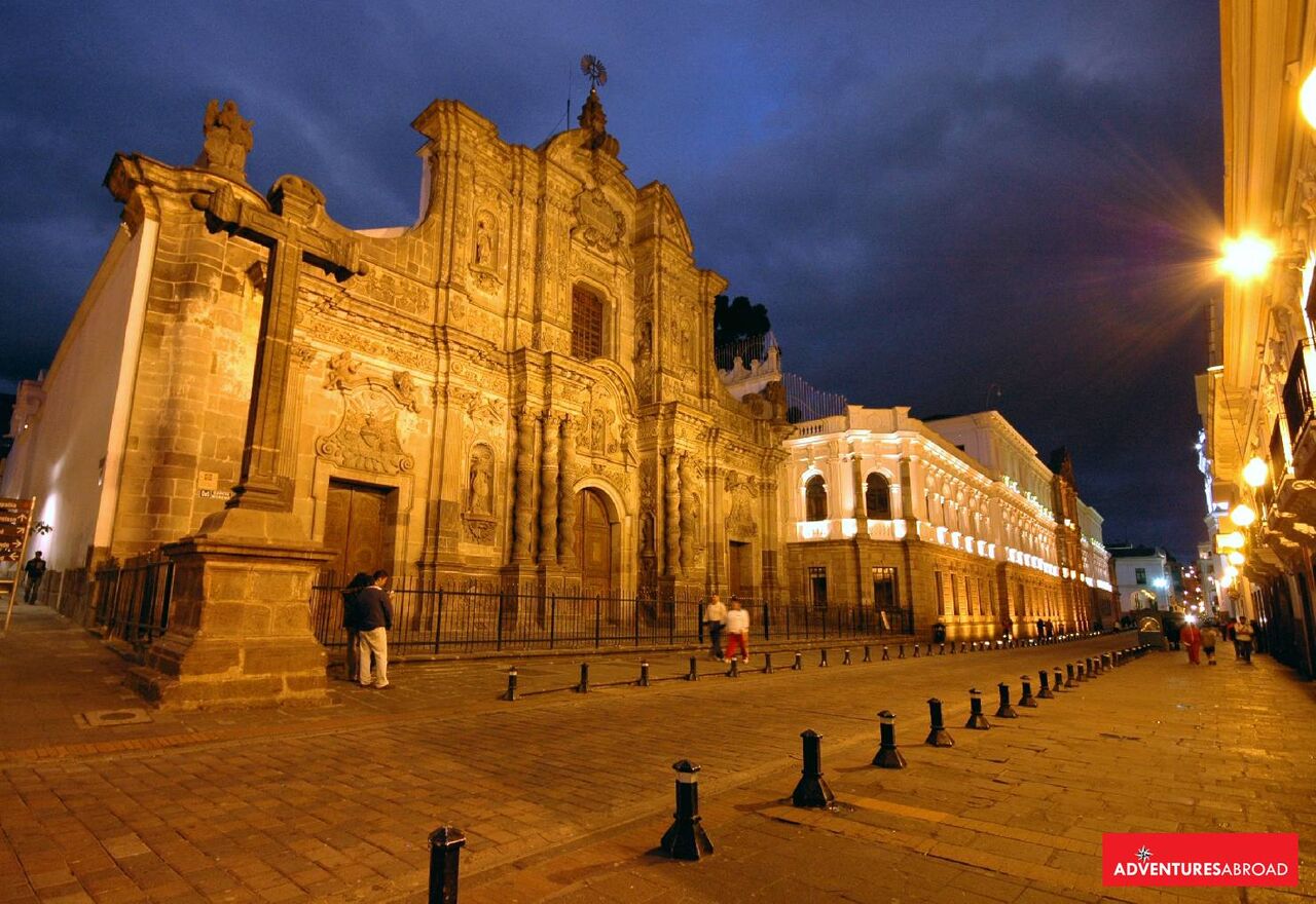 Toronto, Travel, Discover Wildlife Magic In Ecuador!