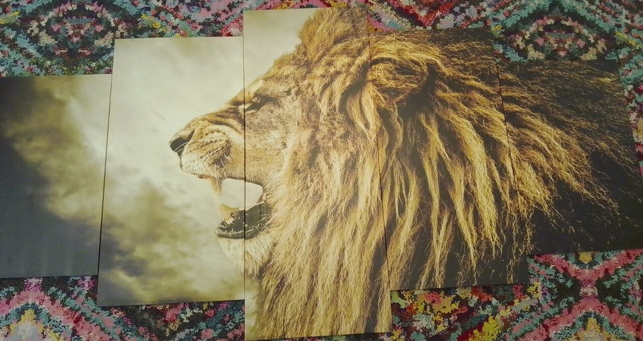 Al Rawabi, Photo & Video, SAR 150,  For Sale :5 Piece Lion Wall Canvas Decor
