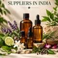 INR 500,  Buy Pure Natural Essential Oils In Bulk From Moksha Aromatics.
