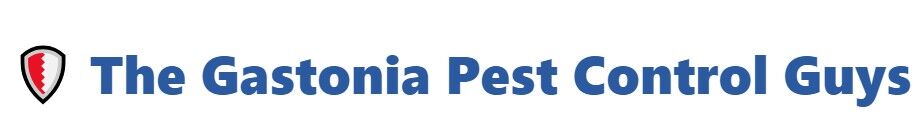 New York, Business, The Gastonia Pest Control Guys
