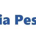 The Gastonia Pest Control Guys