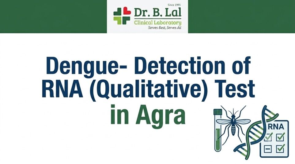 Lucknow, Health & Beauty Items, INR 1500,  Dengue RNA Detection Test In Agra | Accurate & Fast Results | Dr. B. Lal Lab