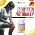 How To Choose Joint Support Supplements For Everyday Mobility
