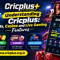Understanding Cricplus: Sports, Casino And Live Gaming Features
