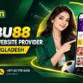 Babu88 Betting Website Provider In Bangladesh | CTFC