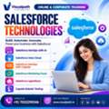 Salesforce Training Build Future-Ready Skills With Visualpath