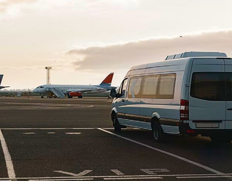 Auckland, Travel, Organise A Charter Bus Service | Cheeky Kea Travel