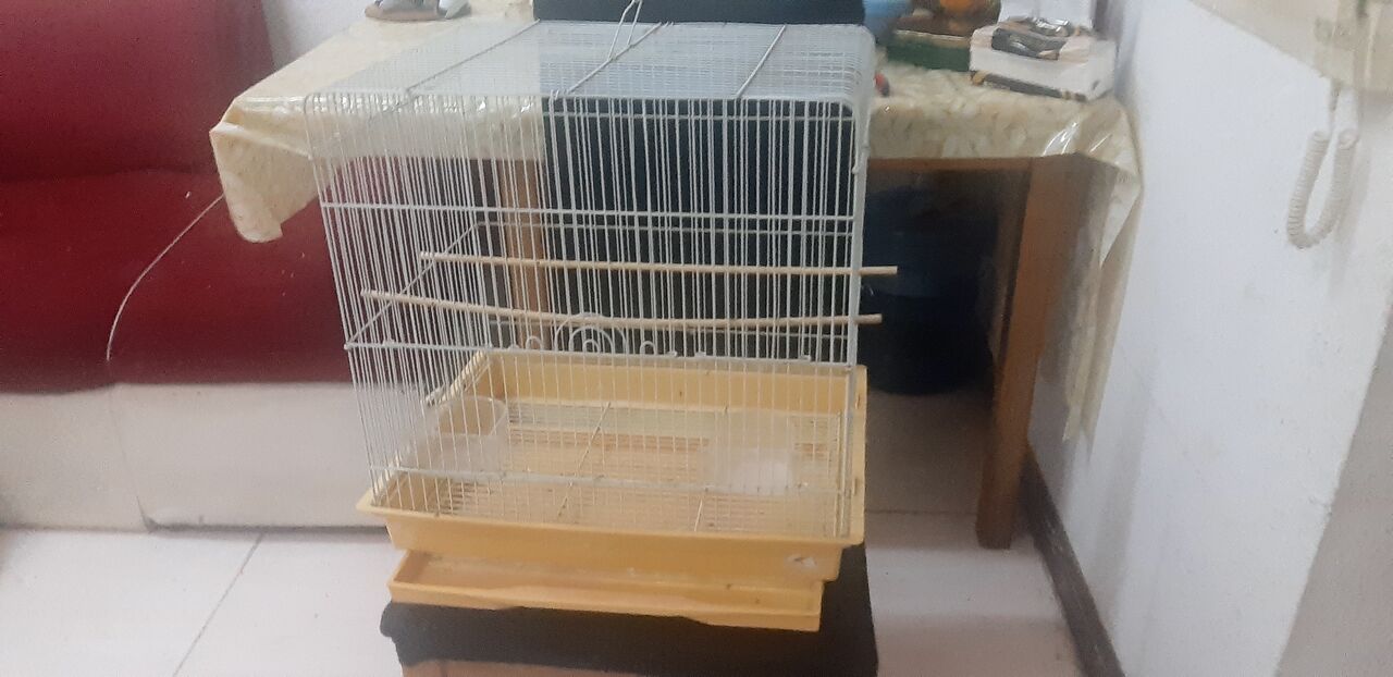 Khobar, Pet Supplies, SAR 125,  Budgie Cage + Accessories + Food For Sale