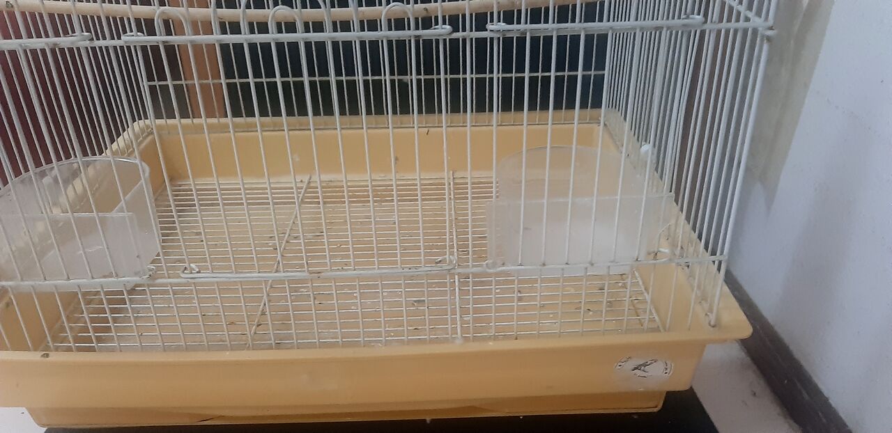Khobar, Pet Supplies, SAR 125,  Budgie Cage + Accessories + Food For Sale
