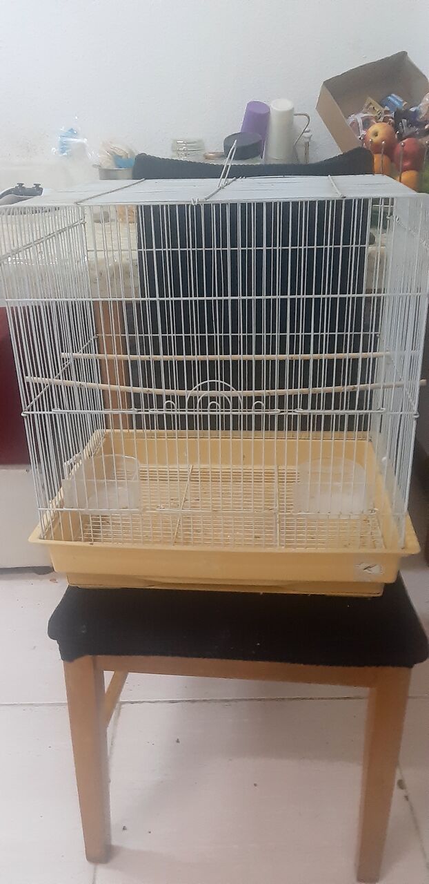 Khobar, Pet Supplies, SAR 125,  Budgie Cage + Accessories + Food For Sale