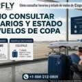 Cómo Consultar Horarios Y Estado De Vuelos De Copa Airlines