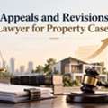 Need An Appeals And Revisions Lawyer For Property Cases?