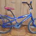 SAR 50,  Cobra Cycle