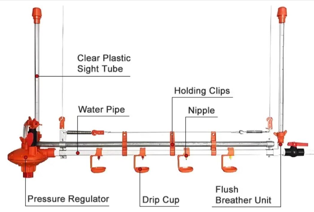 Bhubaneswar, Farm & Garden, INR 7440013121,  Automatic Drinking System For Poultry Farms &ndash; Easy Agrotech