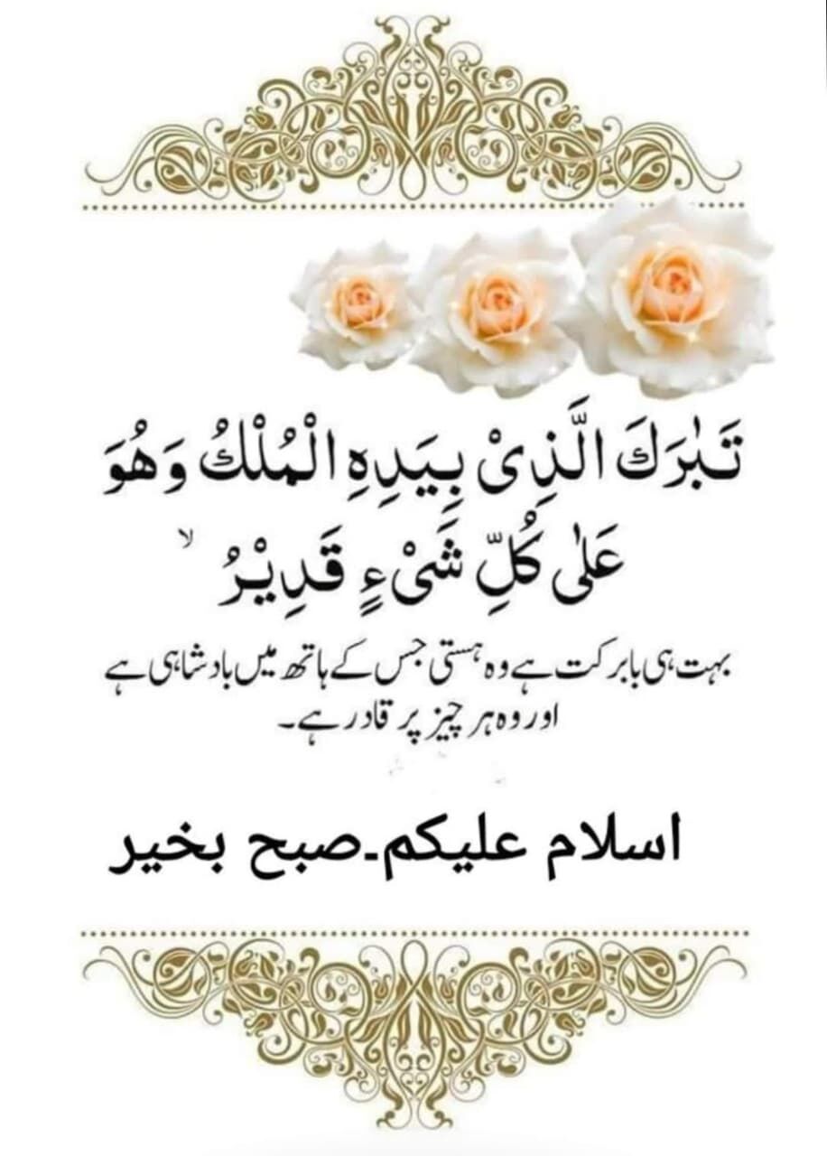 Lahore, Seeking Groom, 24,  Looking For A Pakistani Groom