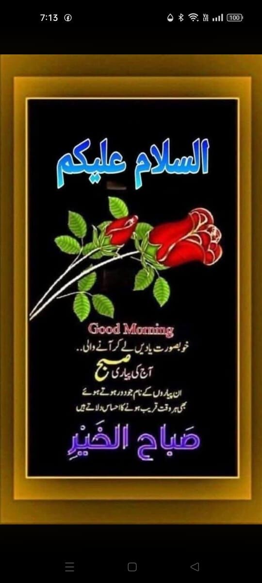 Lahore, Seeking Groom, 24,  Looking For A Pakistani Groom