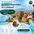 Discover Unforgettable Tanzania Safari Adventures