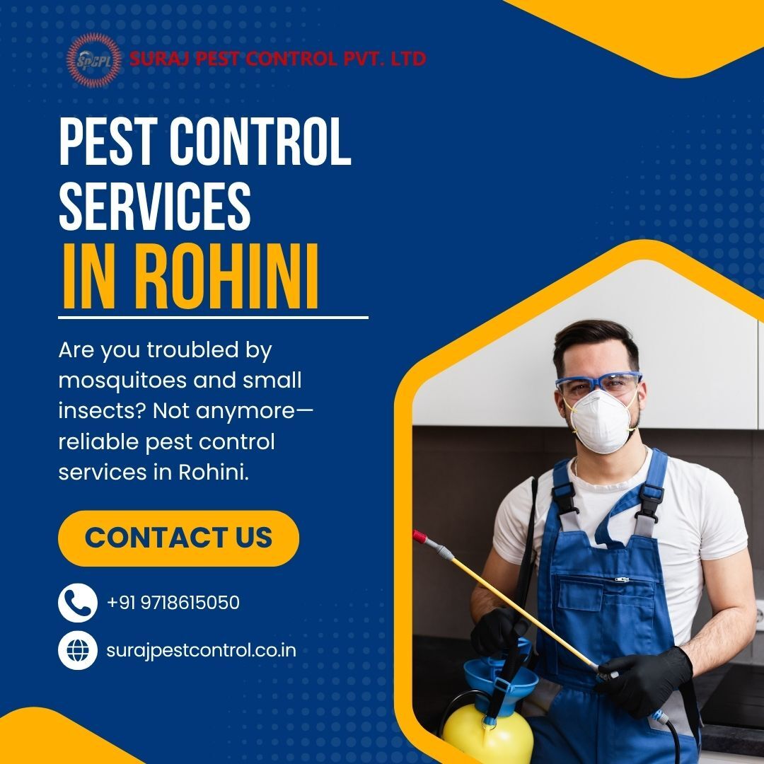 New Delhi, Pest Control, Best Pest Control Services In Rohini Delhi - Safe & Fast Service