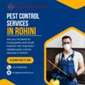 Best Pest Control Services In Rohini Delhi - Safe & Fast Service
