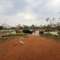 INR 21999,  220 Sq. Yard,  Hmda & Rera Approved Open Plots For Sale Near Maheshwaram