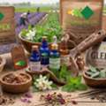 Essential Oil Exporter India &ndash; Glee Impex
