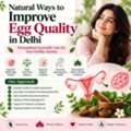 Natural Egg Quality Support And Fertility Care In Delhi