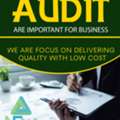 Financial Audit Are Important For Business