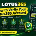 How To Verify Your Lotus365 Account