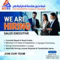 Sales Executive