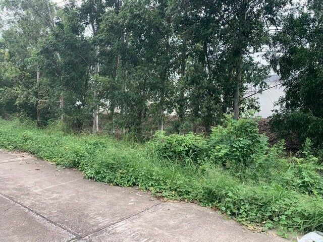 Bangkok, Real Estate For Sale, THB 32500000,  6 BR,  2204 Sq. Feet,  ขายด่วน ที่ดินทำเลดี เนื้อที่ 5 ไร่ 2