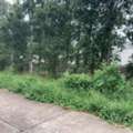 THB 32500000,  6 BR,  2204 Sq. Feet,  ขายด่วน ที่ดินทำเลดี เนื้อที่ 5 ไร่ 2