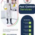 Pest Control Services Special Offer All Over Bahrain Call Now Book Your Appointment Rubeen