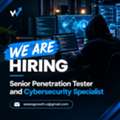 Penetration Tester & Cybersecurity Specialist