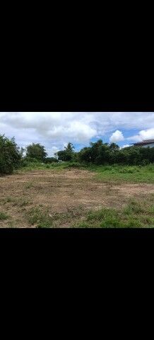 Bangkok, Real Estate For Sale, THB 370000,  6 BR,  100 Sq. Feet,  ขายที่ดินเปล่า หนองพลับ หัวหิน จ.ป