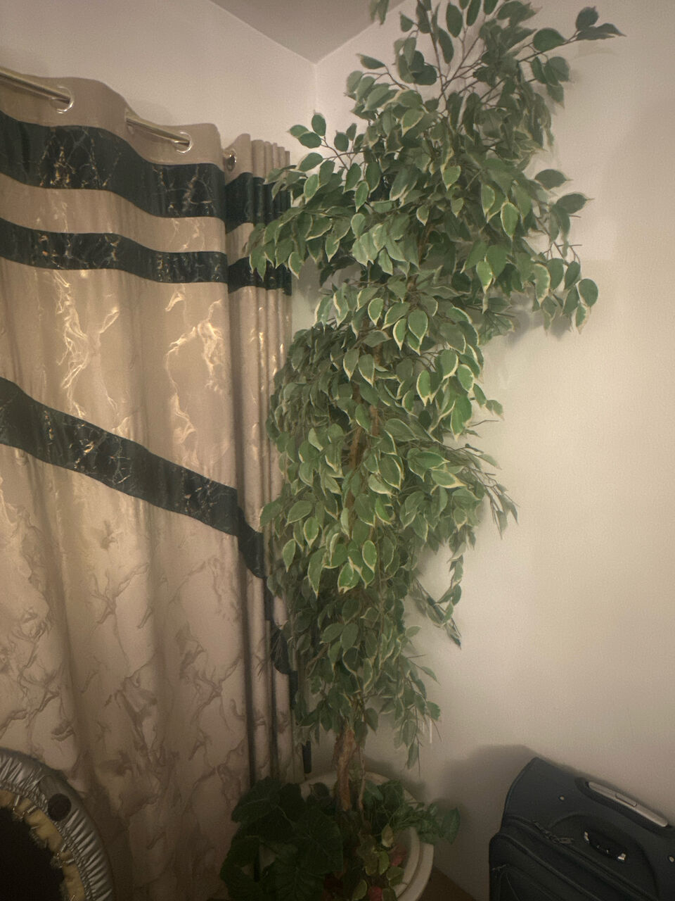 Al Malaz, Furniture, SAR 80,  Decorational Tree