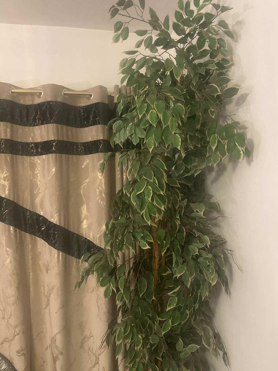 Al Malaz, Furniture, SAR 80,  Decorational Tree