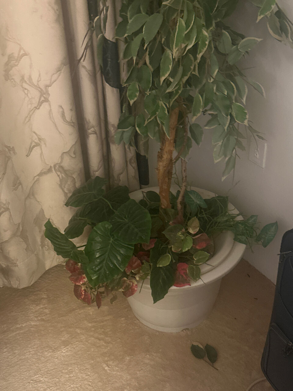 Al Malaz, Furniture, SAR 80,  Decorational Tree