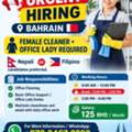 Cleaner+Office Lady Helper Job