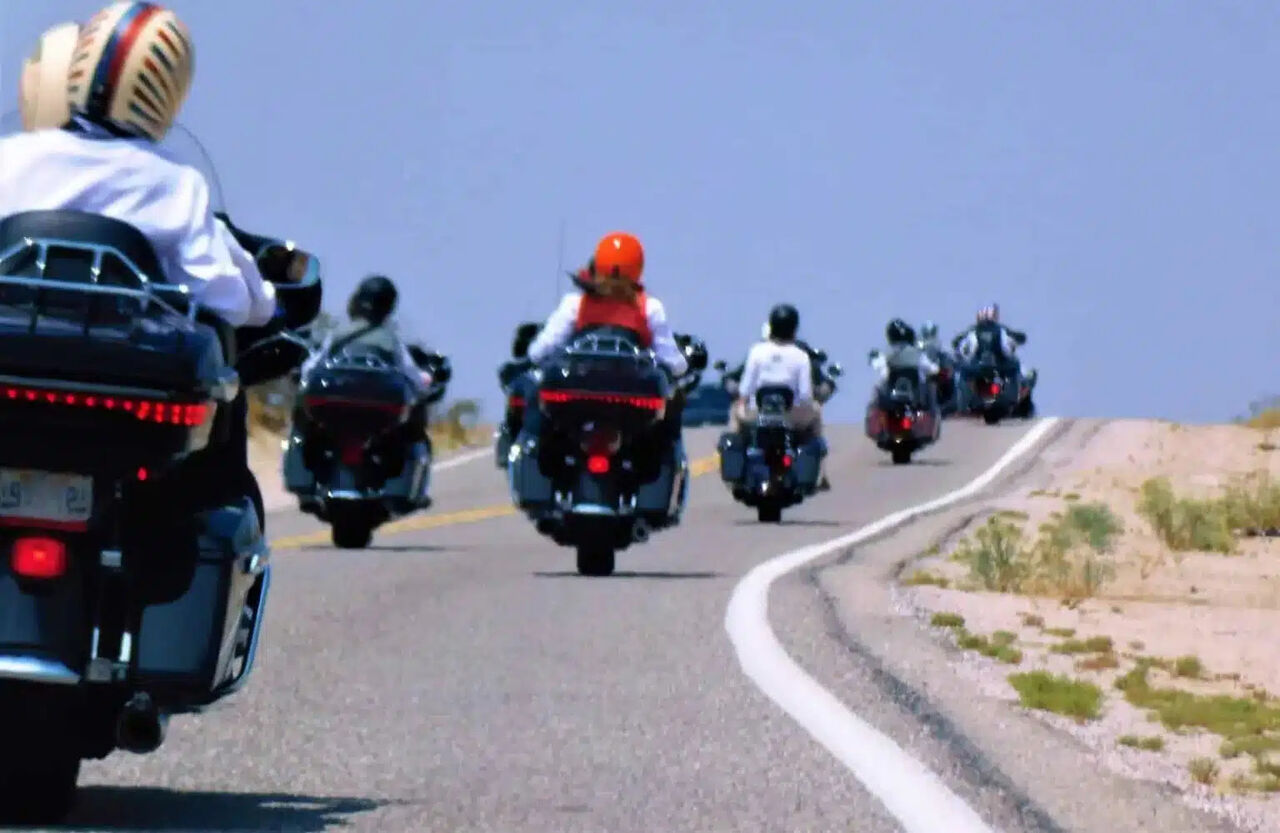 New York, Legal, Bicycle Accident Injury Lawyer In St George | Palmer Litigation
