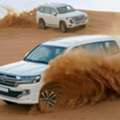Abu Dhabi Evening Desert Safari