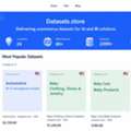 Datasets.store: Delivering Ecommerce Datasets For AI And BI Solutions