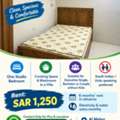 SAR 1250/month,  Furnished,  Studio,  SAR 1,250 &ndash; Separate Studio Room In A Villa At Al Malaz