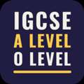 The Proven Path To A*s: Premier IGCSE & A-Level Classes