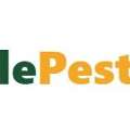 The Maryville Pest Control Team