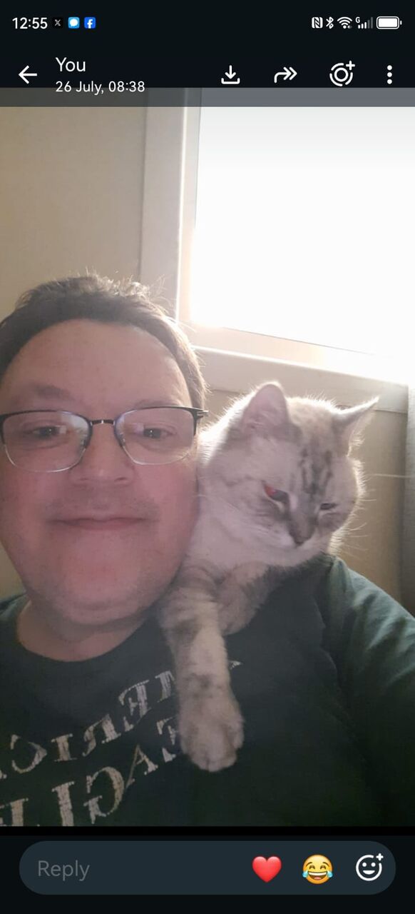 Riyadh, Pet Adoption, SAR 1,  I Have A Gray Male Cat For Adoption