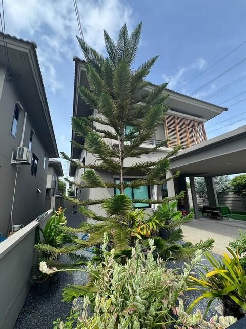 Bangkok, Villas, THB 55000,  56 Sq. Feet,  Rent A 2-storey House 56 Sq.w. Como Botanica Bangna Behind The Edge Near Mega Bangna.